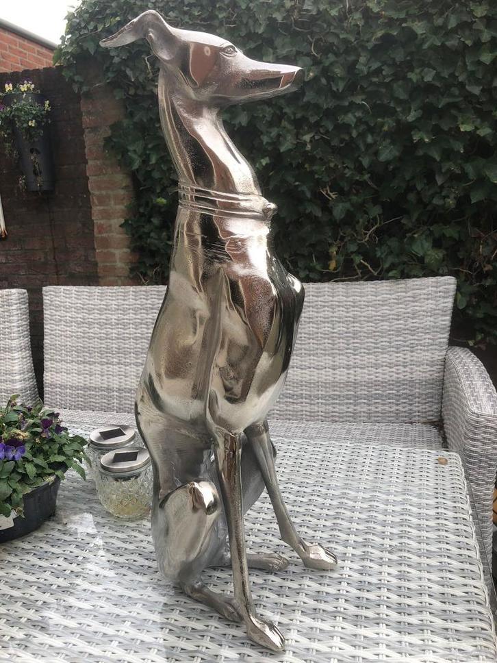 groot aluminium windhond whippet greyhound hazewindhond, Antiek en Kunst, Kunst | Beelden en Houtsnijwerken, Ophalen of Verzenden