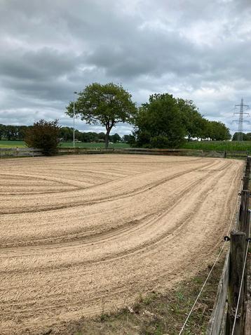 Paardenbak afhuren