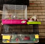 Hamsterkooi, Dieren en Toebehoren, Minder dan 60 cm, Kooi, Minder dan 75 cm, Ophalen of Verzenden