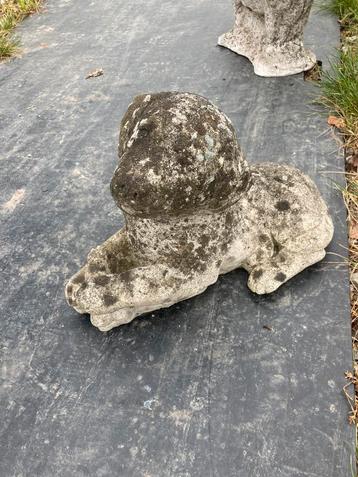 Liggende hond beschikbaar voor biedingen