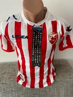 RODE STER BELGRADO nieuw voetbalshirt Crvena Zvezda 2012/13, Verzamelen, Sportartikelen en Voetbal, Ophalen of Verzenden, Nieuw