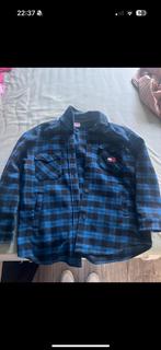 Tommy hilfiger vest extra dik., Kleding | Dames, Jassen | Winter, Ophalen of Verzenden, Zo goed als nieuw