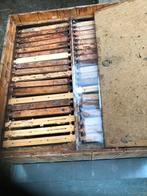 Golz bijenkasten, Dieren en Toebehoren, Bijen