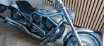 Harley davidson vrod, Particulier, Chopper