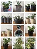 Diverse leuke bloempotten vintage kwaliteit kamerplanten, Tuin en Terras, Bloempotten, Binnen, Ophalen of Verzenden, Zo goed als nieuw