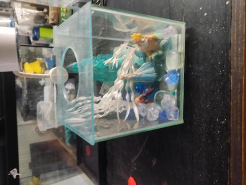 Klein aquarium van 12x12 cm, Dieren en Toebehoren, Vissen | Aquaria en Toebehoren, Zo goed als nieuw, Leeg aquarium, Ophalen