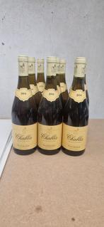 Chablis 2004 - Partij Chardonnay 20 stuks keldervondst, Verzamelen, Wijnen, Ophalen of Verzenden, Nieuw, Frankrijk, Witte wijn