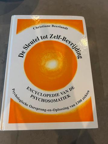 De Sleutel tot Zelf-Bevrijding Christiane Beerlandt beschikbaar voor biedingen