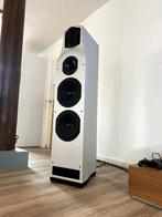 Vlaggenschip T+A TCI 1RE + Buizen Electrostatische Hogetoon, Zo goed als nieuw, 120 watt of meer, Front, Rear of Stereo speakers