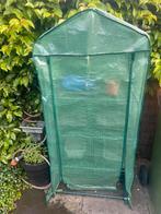 Kas, Tuin en Terras, Kassen, Ophalen of Verzenden, Glas, Gebruikt