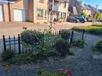 Sierhek, Ophalen, Zo goed als nieuw, IJzer, Tuinhek
