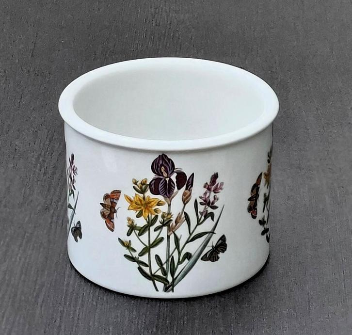 Portmeirion ompot (240916), Huis en Inrichting, Kamerplanten, Minder dan 100 cm, Halfschaduw, Ophalen of Verzenden