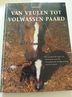 J. Lorch - Van veulen tot volwassen paard, Boeken, Dieren en Huisdieren, Gelezen, J. Lorch, Ophalen of Verzenden