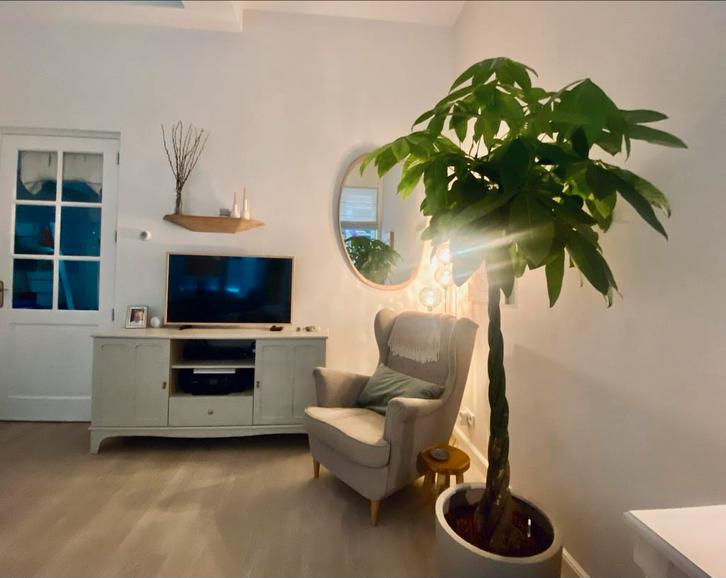 IKEA Lommarp TV-kast beige - Zo goed als nieuw!, Huis en Inrichting, Kasten | Televisiemeubels, Zo goed als nieuw, Minder dan 100 cm