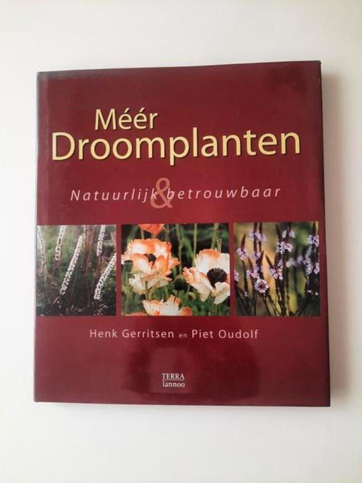Méér droomplanten . Piet Oudolf, Boeken, Wonen en Tuinieren, Gelezen, Tuinieren en Tuinplanten, Ophalen of Verzenden