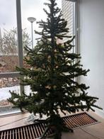 Kerstboom, Diversen, Kerst, Ophalen, Gebruikt
