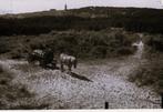 Vlieland melkboer met kar jaren 50, Ophalen of Verzenden, 1940 tot 1960, Waddeneilanden