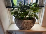 Prachtige ovale pot met kunstplanten, Huis en Inrichting, Kamerplanten, Ophalen of Verzenden, Minder dan 100 cm