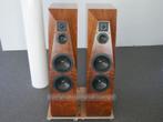 Avalon Radian Rosewood, Audio, Tv en Foto, Luidsprekers, Gebruikt, 120 watt of meer, Front, Rear of Stereo speakers, Ophalen