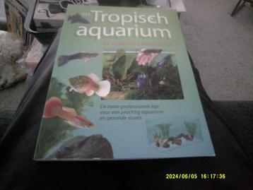 Het tropisch aquarium beschikbaar voor biedingen