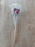 Apple wax, voor kerststukjes, Diversen, Ophalen, Nieuw
