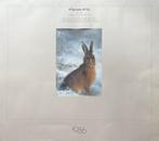 Kalender 1986 Pieter Dik, Diversen, Kalenders, Ophalen of Verzenden, Maandkalender, Zo goed als nieuw