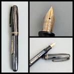 Waterman vulpen met 14 karaats gouden nib, Verzamelen, Pennenverzamelingen, Vulpen, Gebruikt, Ophalen of Verzenden, Waterman