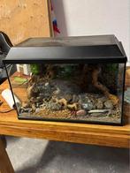 Terrarium voor slangen, Ophalen, Gebruikt, Overige typen, ?