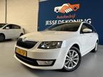 Skoda Octavia Combi 2.0 TDI Ambition Businessline Automaat/b, Euro 5, Stof, Gebruikt, 680 kg