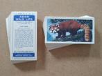 Asian Wildlife complete set 50 tea cards 1962 Brooke Bond, Ophalen