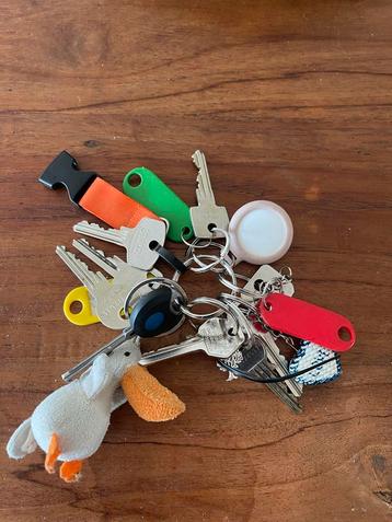 Ervaren, betrouwbare schoonmaakster aangeboden beschikbaar voor biedingen