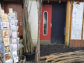 Bamboestokken beschikbaar voor biedingen