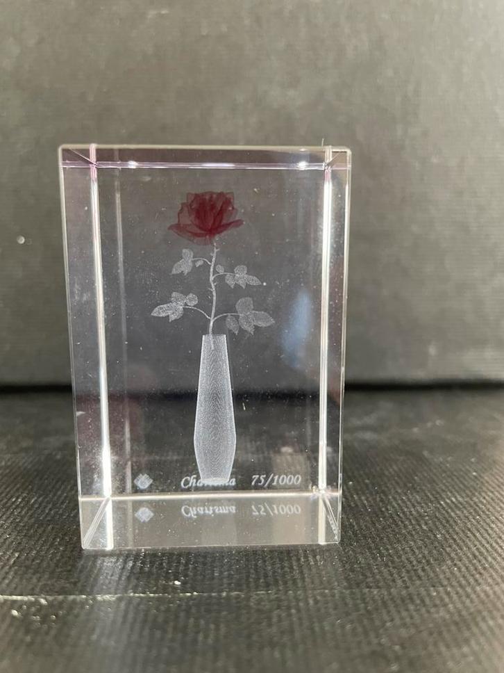laser 3D gravure crystal impressions limited edition  NIEUW, Antiek en Kunst, Kunst | Etsen en Gravures, Ophalen of Verzenden
