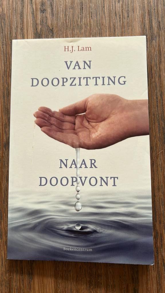 H.J. Lam - Van doopzitting naar doopvont, Boeken, Godsdienst en Theologie, Zo goed als nieuw, Ophalen of Verzenden