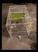 Kooi knaagdier/hamsterkooi, Dieren en Toebehoren, Knaagdieren en Konijnen | Hokken en Kooien, Kooi, Minder dan 75 cm, Zo goed als nieuw