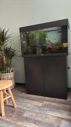 Aquarium Juwel Rio 125 met helialux lamp en Co2 systeem, Dieren en Toebehoren, Vissen | Aquaria en Toebehoren, Ophalen, Zo goed als nieuw