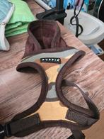 Puppychihuahua tuigje, Ophalen of Verzenden