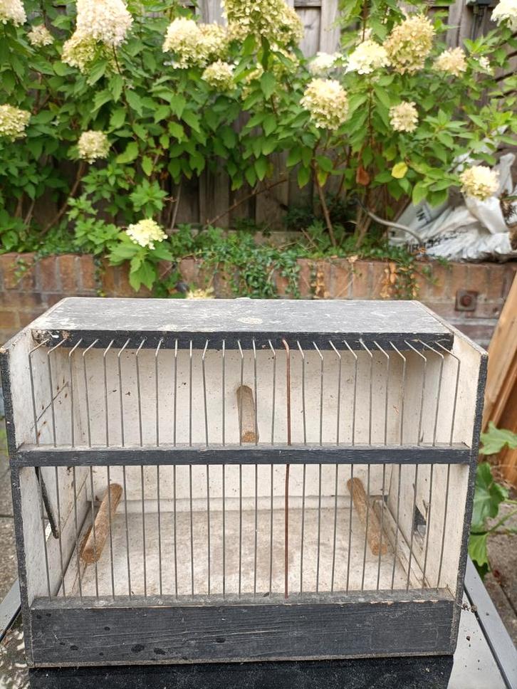 Antieke Houten Vogelkooi - Circa 1900, Antiek en Kunst, Antiek | Overige Antiek, Ophalen of Verzenden