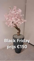 Exclusieve bloesemboom nieuw compleet, Ophalen, Nieuw