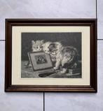 Oud poezenschilderij Henriette Ronner ( reproductie, Ophalen of Verzenden