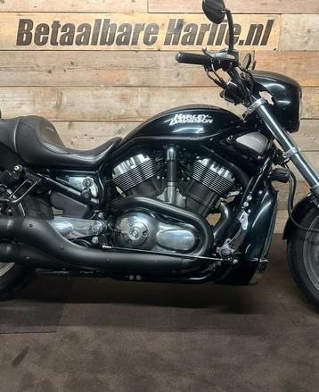 Harley Davidson V Rod. Nederlandse motor.  beschikbaar voor biedingen