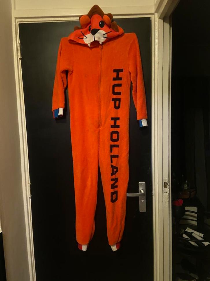 Carnavalskleding, Kleding | Dames, Carnavalskleding en Feestkleding, Zo goed als nieuw, Carnaval, Ophalen of Verzenden