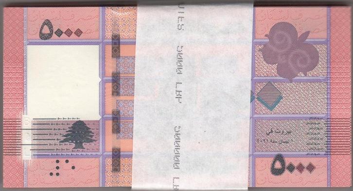 Libanon bankbiljet 5000 Livres Cedar tree 2014 bundel v. 100, Postzegels en Munten, Bankbiljetten | Azië, Los biljet, Midden-Oosten