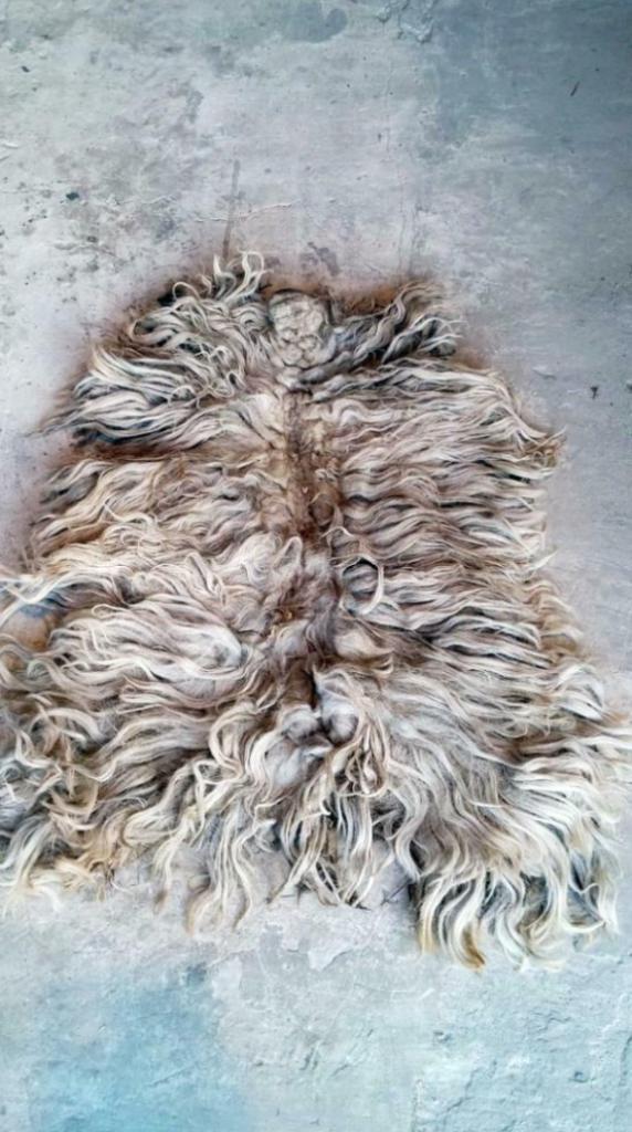 Langharige mooie wol voor toeven, toef met wolpluim maken, Huis en Inrichting, Woonaccessoires | Wanddecoraties, Nieuw, Ophalen of Verzenden