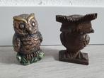 2 kleine uiltjes, Ophalen of Verzenden, Nieuw, Dier
