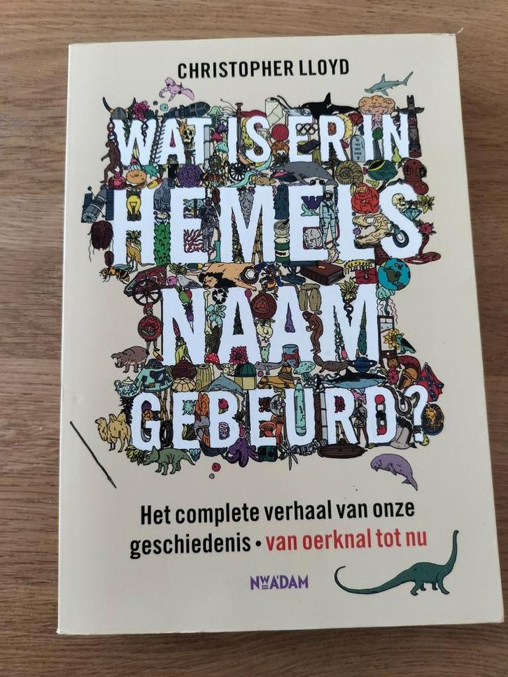 C. Lloyd - Wat is er in hemelsnaam gebeurd?, Boeken, Overige Boeken, Nieuw, Ophalen
