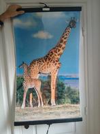 Giraffe infrarood paneel, Doe-het-zelf en Verbouw, Verwarming en Radiatoren, Ophalen, 30 tot 80 cm, Gebruikt, Overige typen