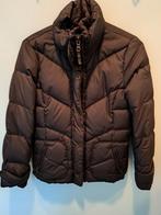 Dames winterjas Esprit maat S, Bruin, Ophalen of Verzenden, Zo goed als nieuw, Maat 36 (S)