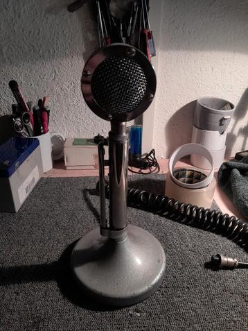 Lolliepop  beschikbaar voor biedingen