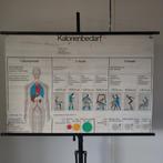 Schoolplaat Calorieënverbruik, Ophalen of Verzenden, Natuur en Biologie